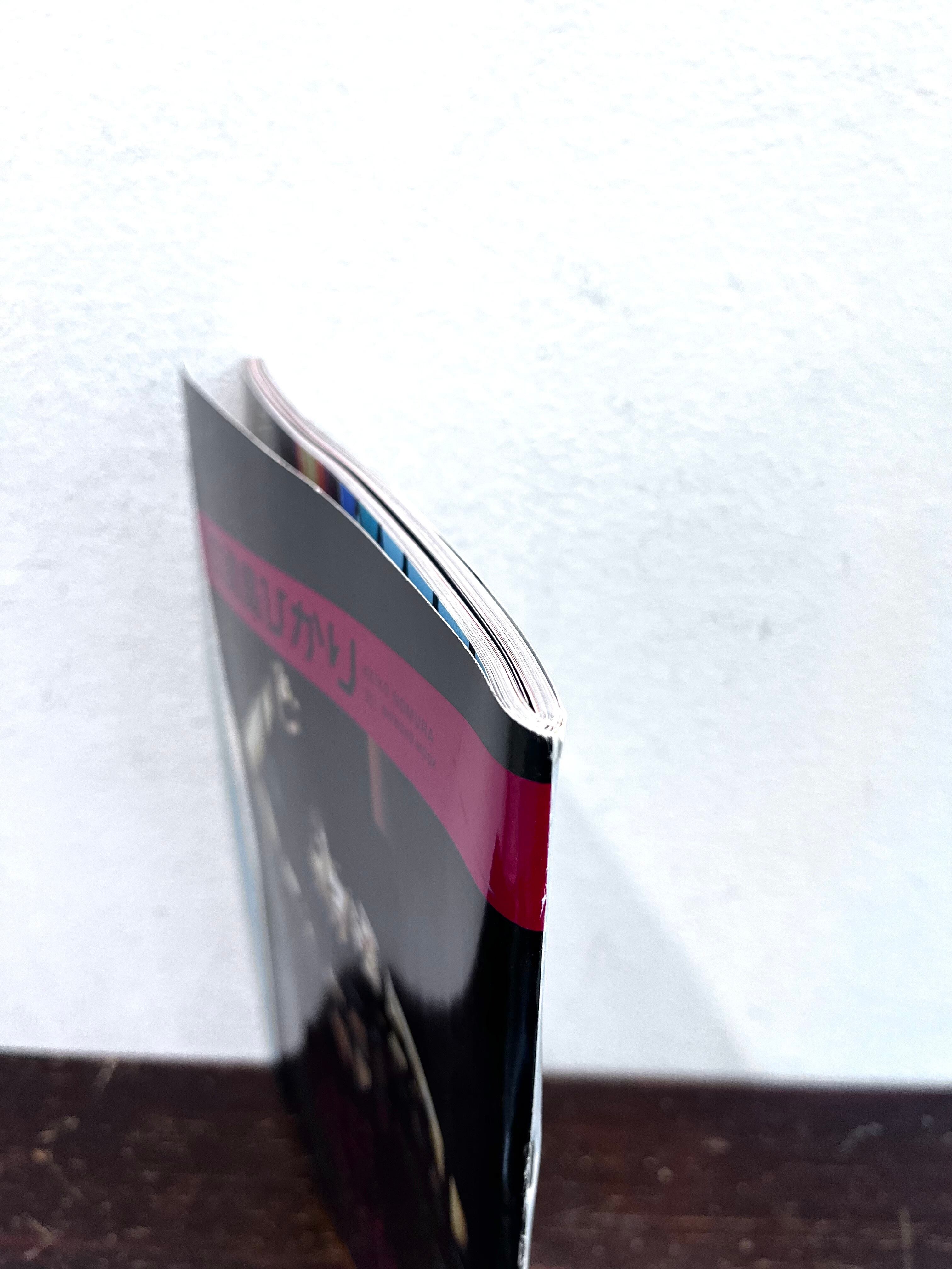 月刊 満島ひかり 写真 野村恵子 | zbooks