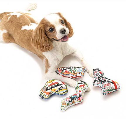 カントリーマップトイ