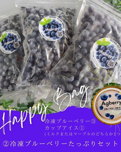 ②Happy bag  冷凍ブルーベリー3袋  カップアイス1個 画像