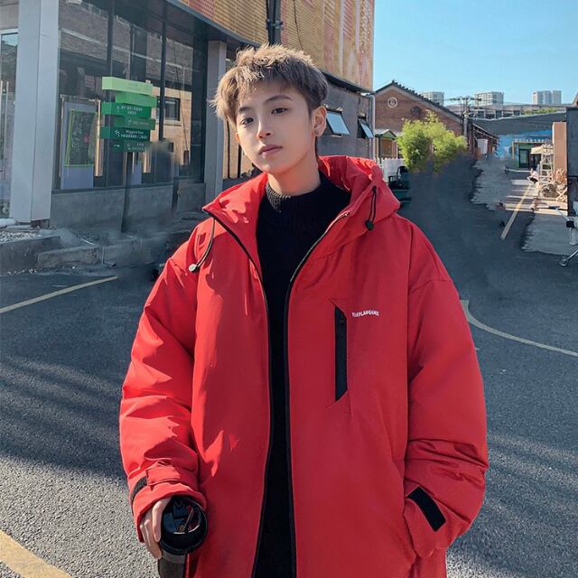 予約販売】ダウンジャケット アウター ショート丈フード ハイカラー