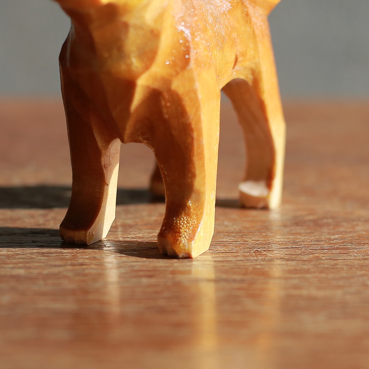 凛々しい立ち姿で、熱い視線を送る犬