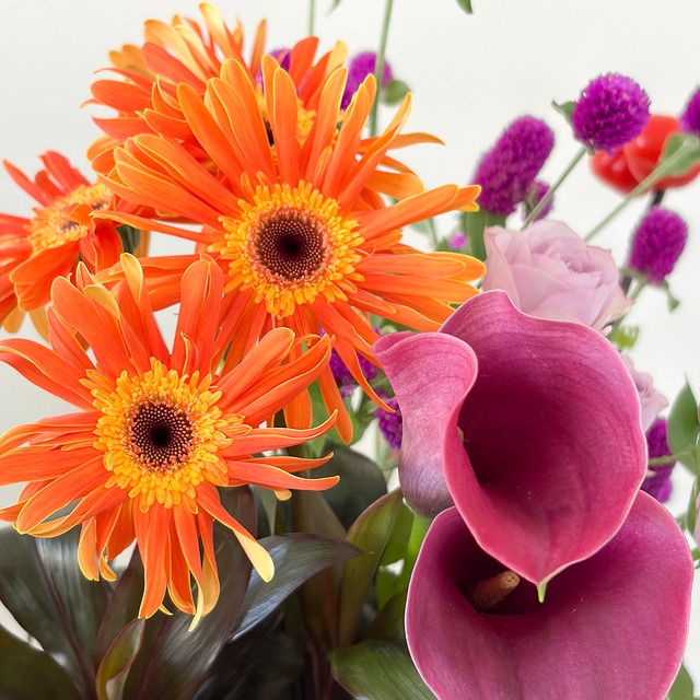 季節のお花 おまかせBOX・スペシャル｜Happy Halloween★Flowers｜月替わりの切り花・生花セット〈フラワーロス削減〉