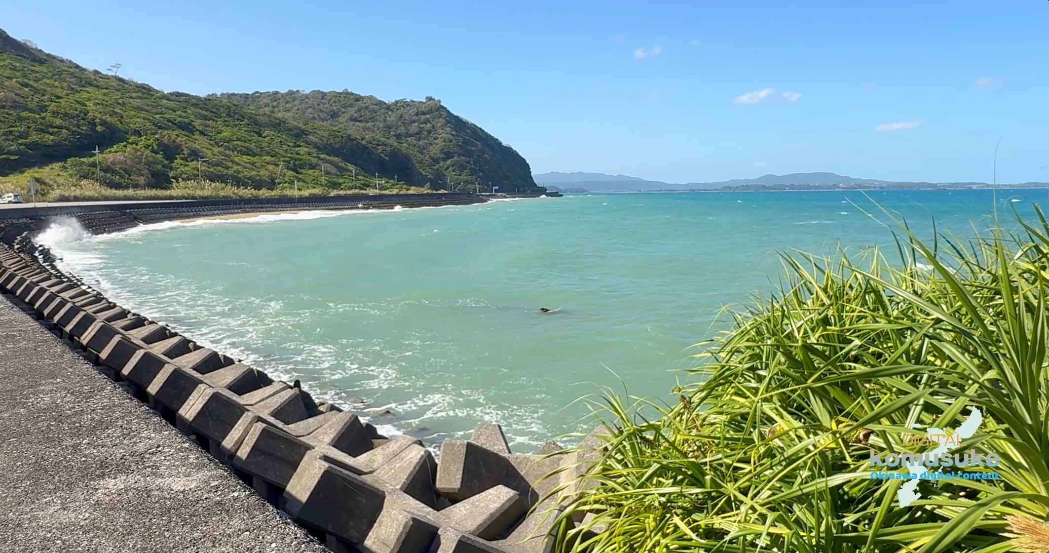 名護海岸(源河)-007(4K)30秒