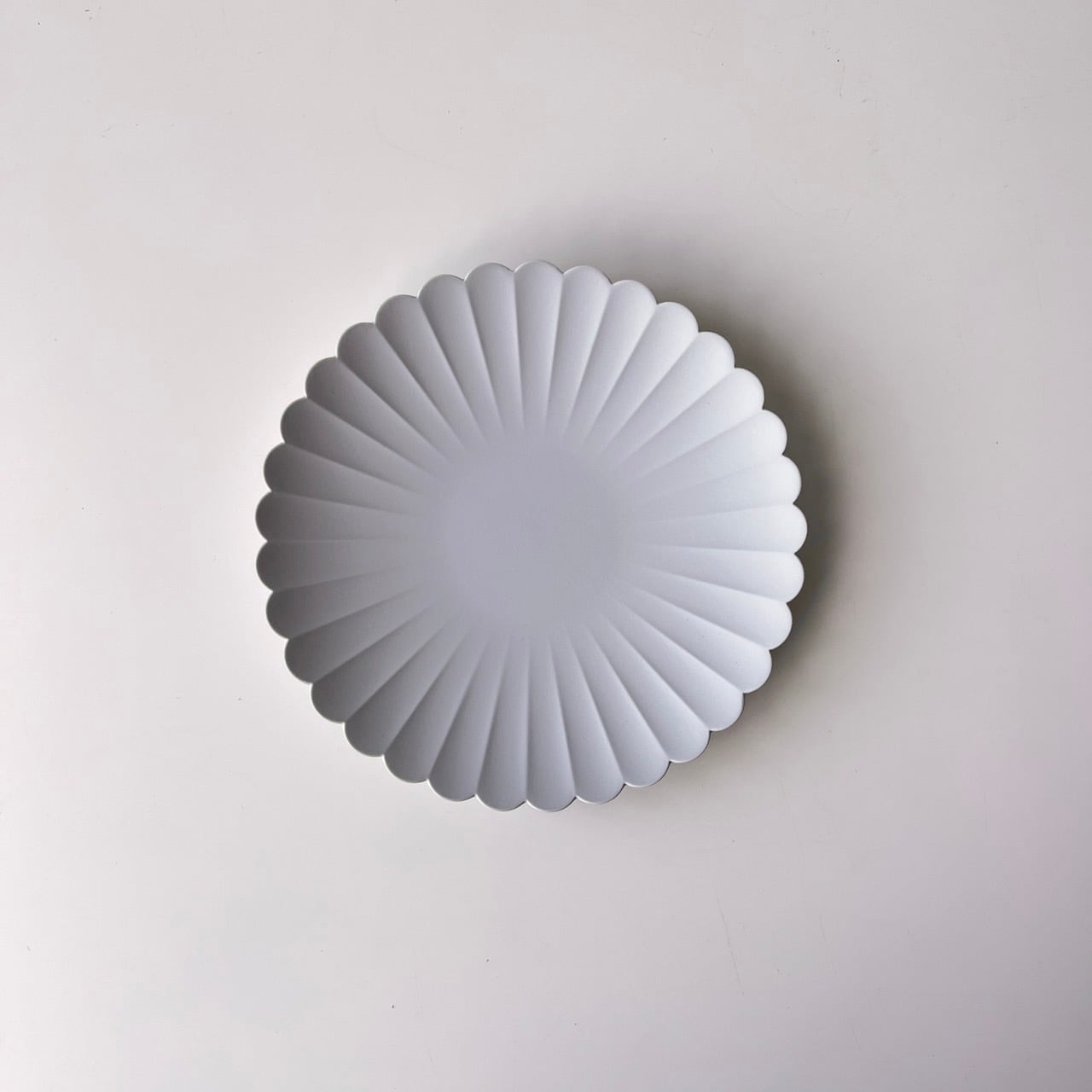 1616 / arita japan TY Palace Plate パレスプレート 160 Grey 16×16cm グレー 食器