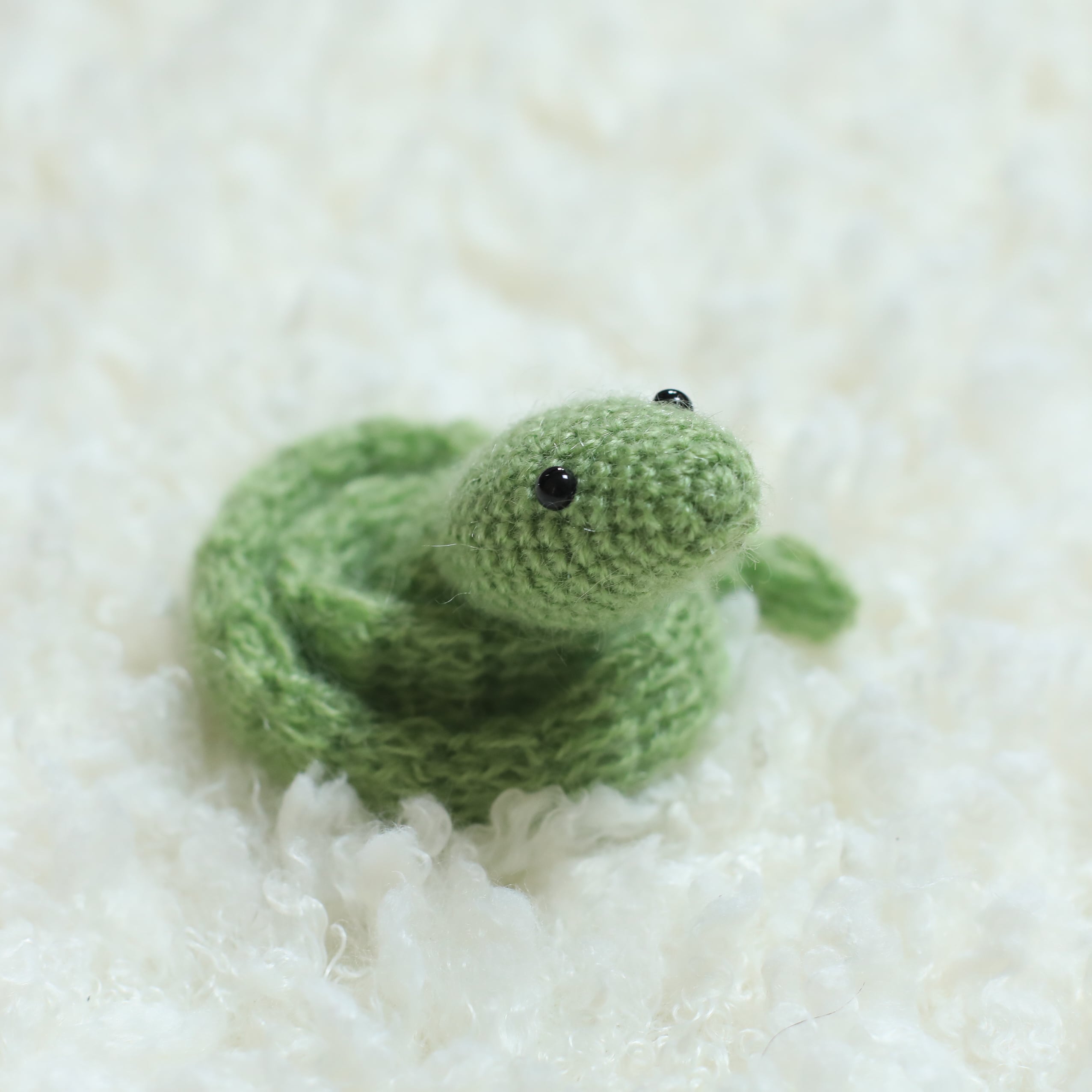 BGS10 ゾロ十郎 ブラックラベル ONE PIECE SP 2024