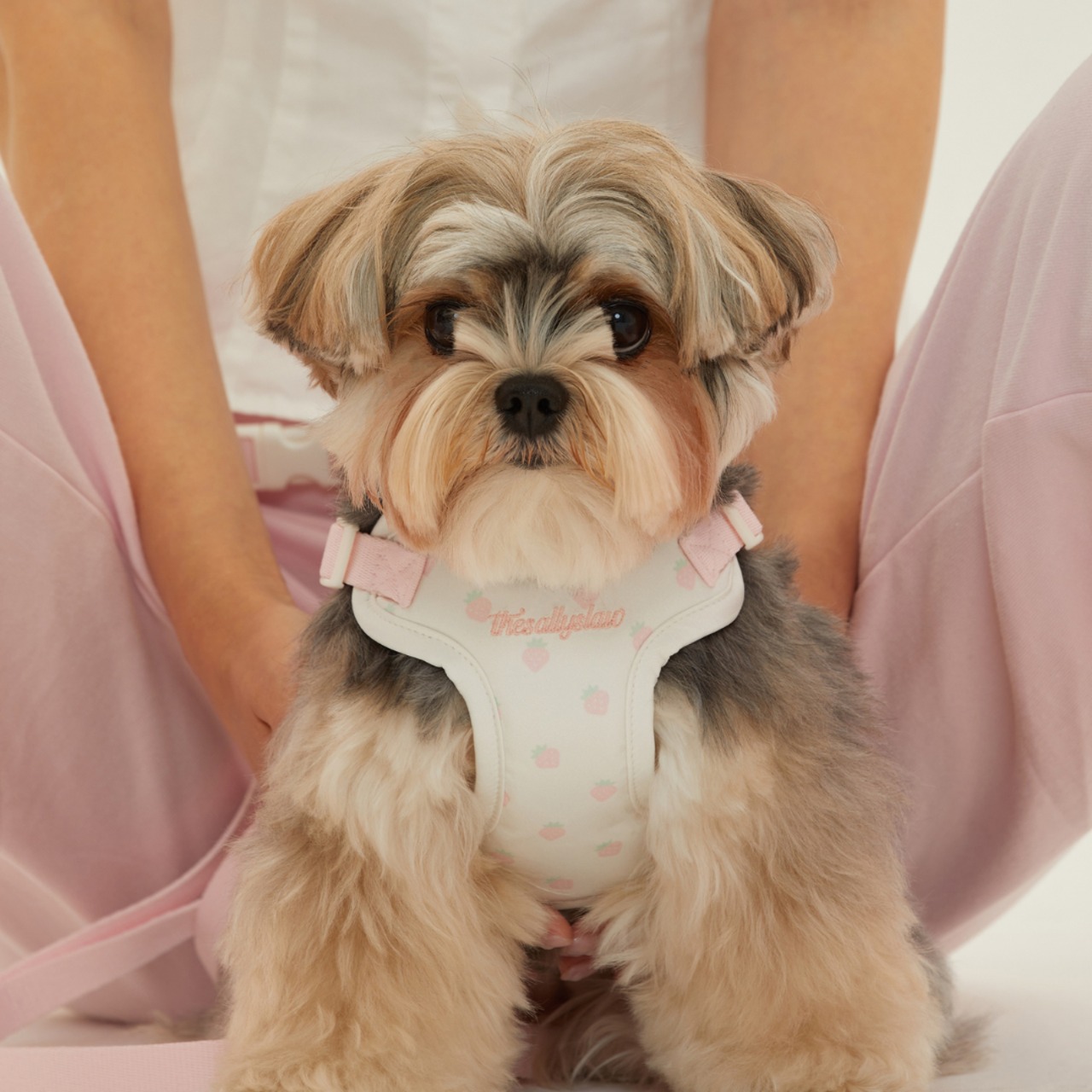 【予約】[ thesallyslaw ] Bailey cushioning harness｜Strawberry Blush - 17