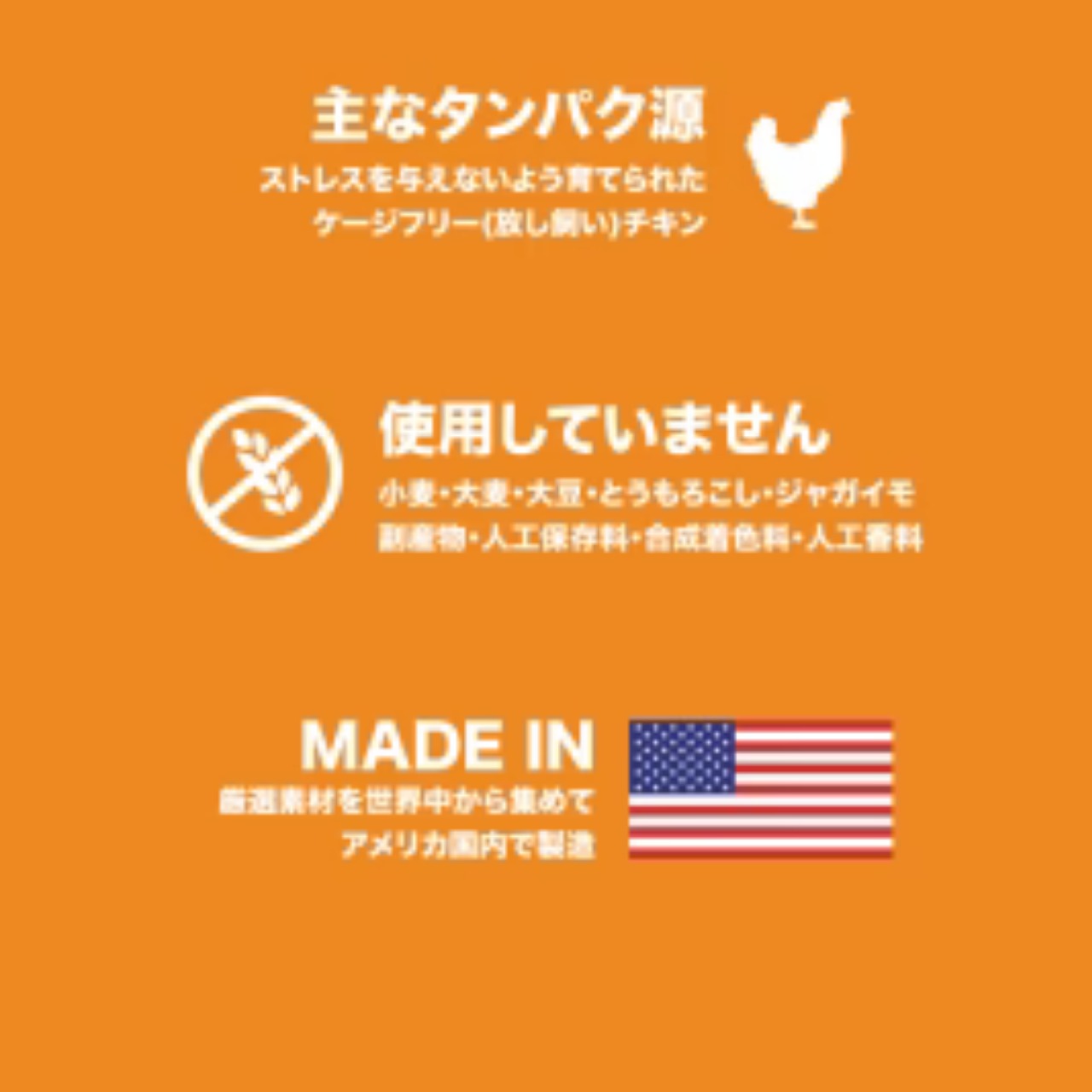【消化吸収をサポートする犬用おやつ】(21g) Raw BOOST MIXERS ガットヘルス  ●犬用栄養補助食