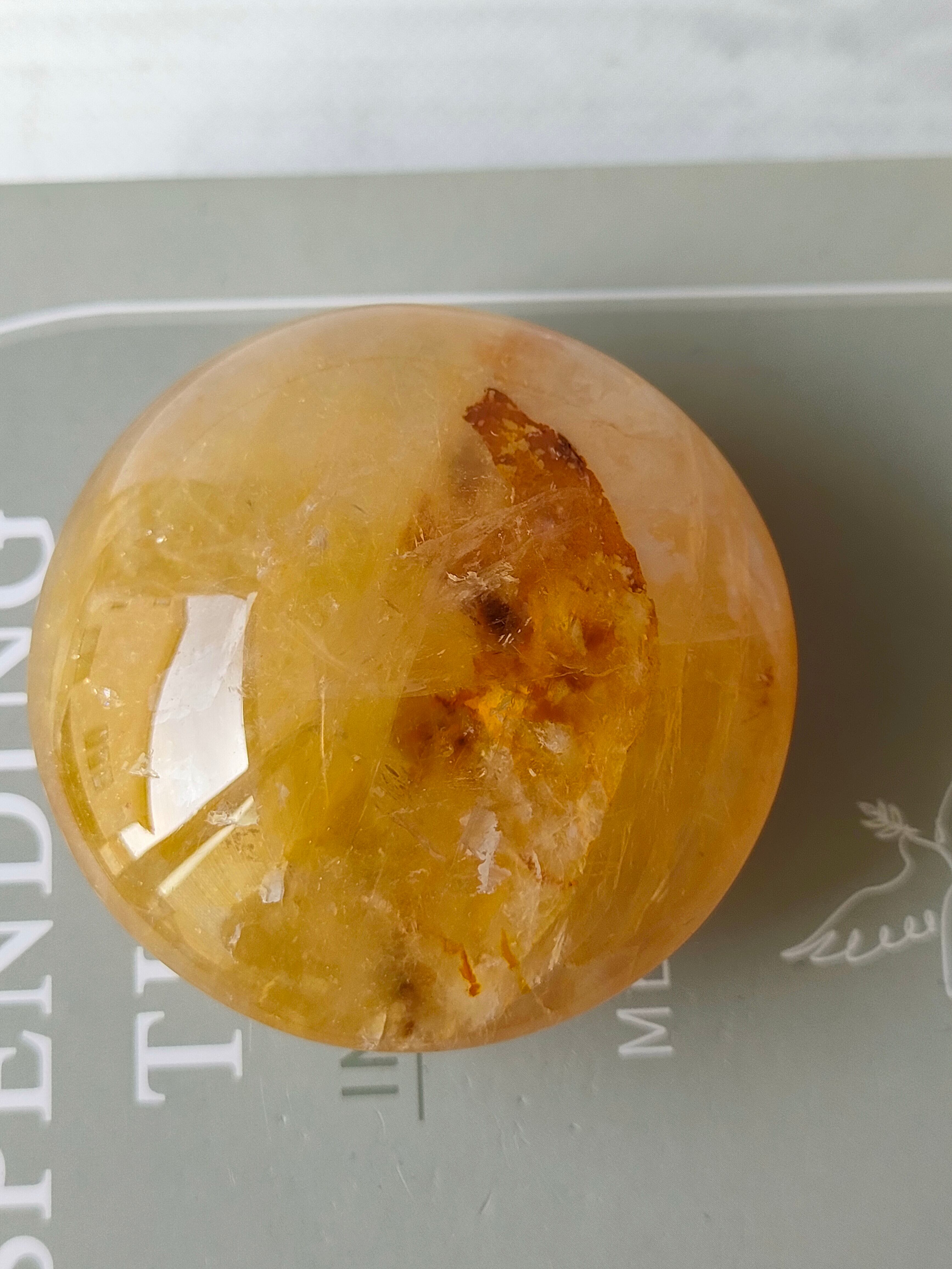 ゴールデンヒーラー04