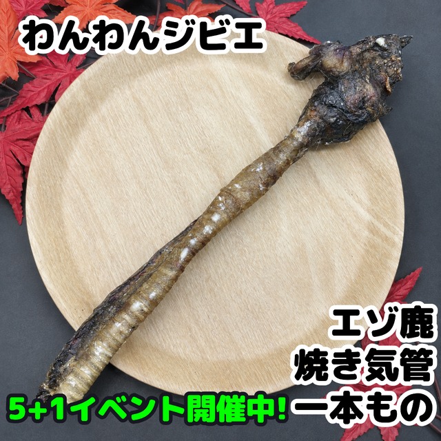 エゾ鹿 焼き気管 一本もの[5+1イベント開催中！]