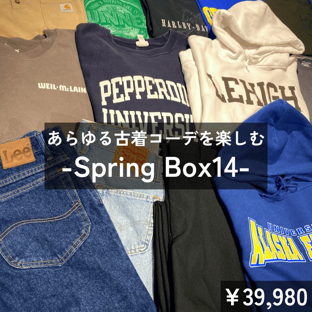 Spring Box 14