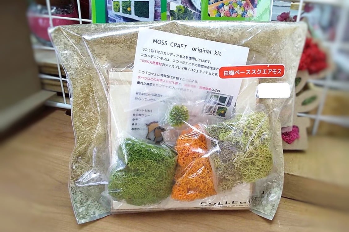 手作り 制作キット おしゃれな壁掛けモス インテリア オレンジグリーン