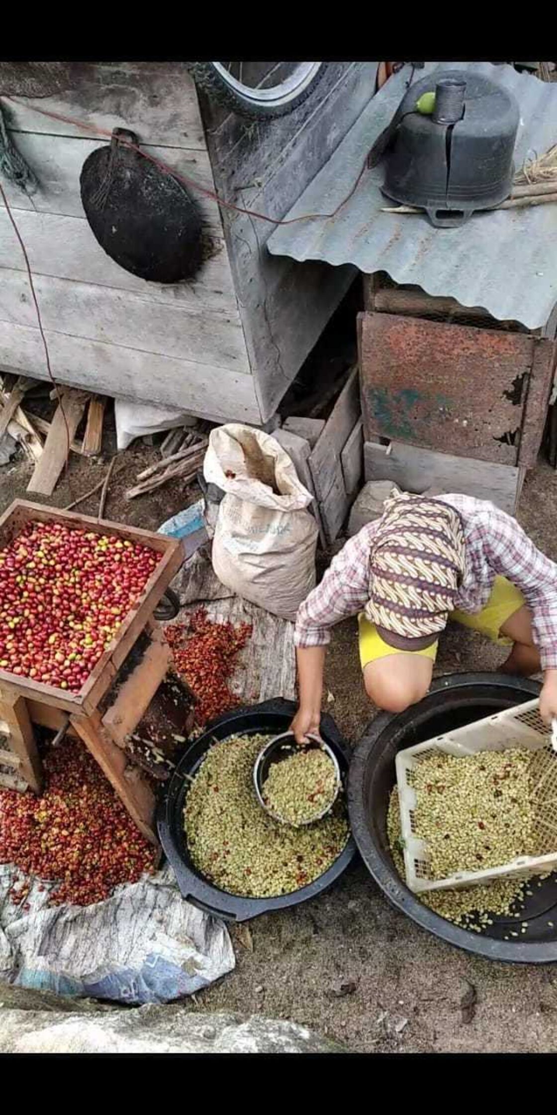 タイムセール 5種の味わい コーヒー豆 福袋 送料無料  ストレートコーヒー ブラジル マンデリン グァテマラ キリマンジャロ コロンビア  オススメ キーコーヒー インドネシア スマトラ島 ポルン マンデリン セリブ・ラジャ G1 深煎り（フレンチ：7） 100g 送料無料 | Pay ID