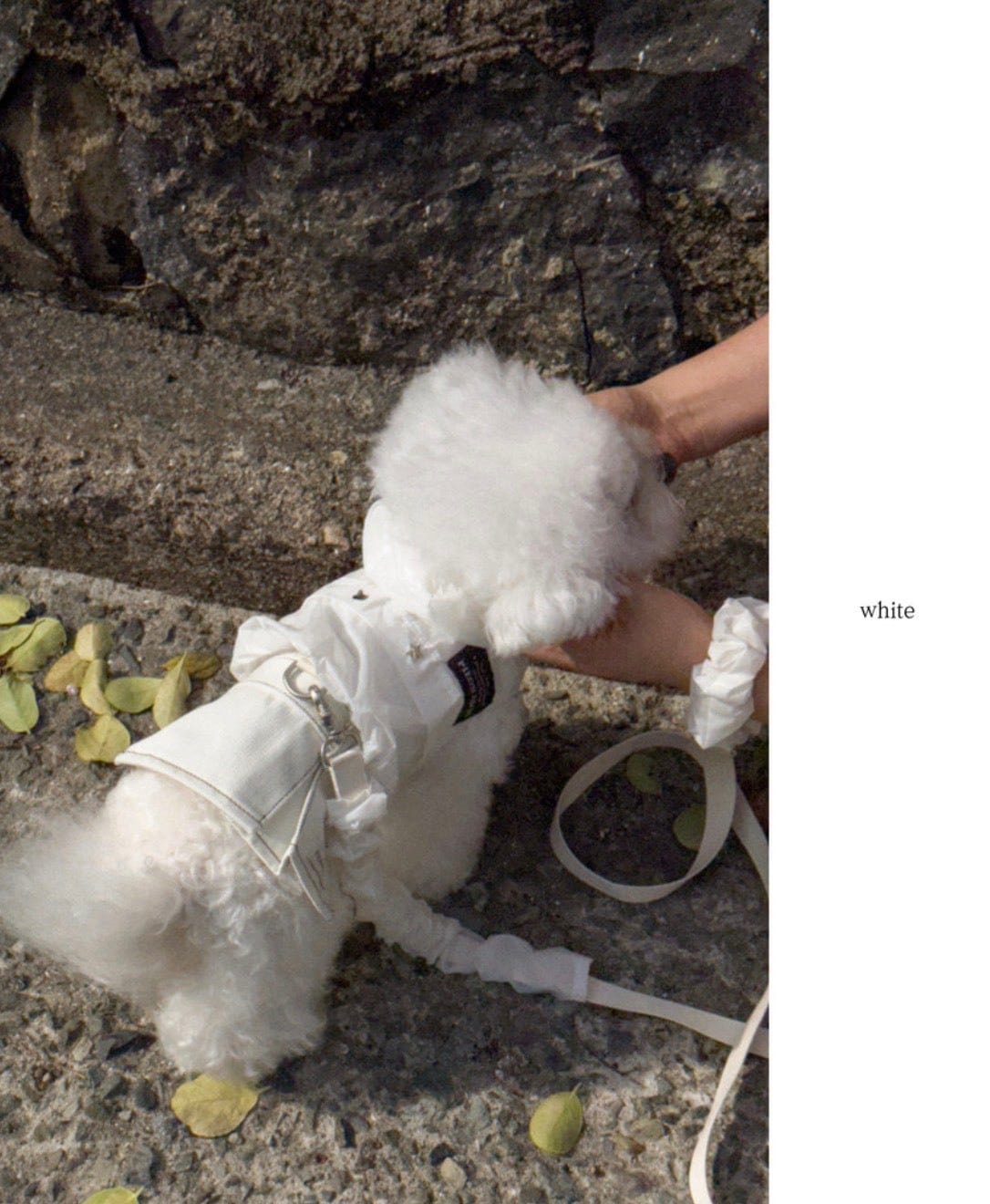 在庫確保済【pieonaday】Glow Windbreaker Harnessa (White)