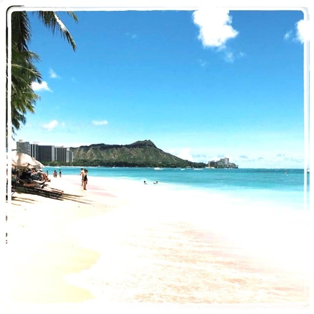 ウリウリバック 3点SET♪white Pink Hibiscus | &.Aloha あんど