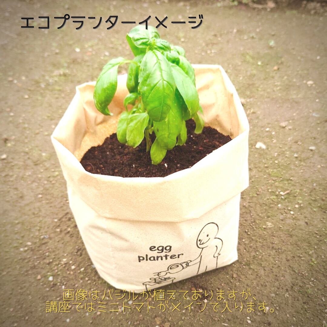 ランチ追加 エコプランターで寄せ植え 6月 なちゅりす K0k0kara