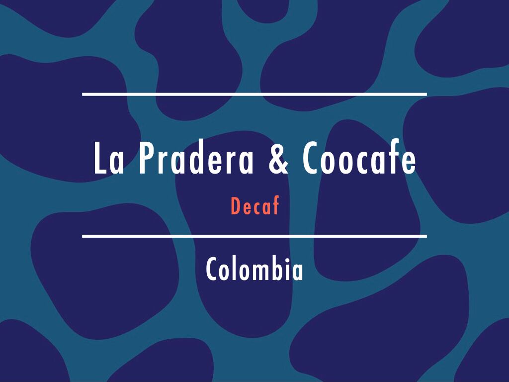 【200g】カフェインレス コロンビア / La Pradera & Coocafe “Decaf”