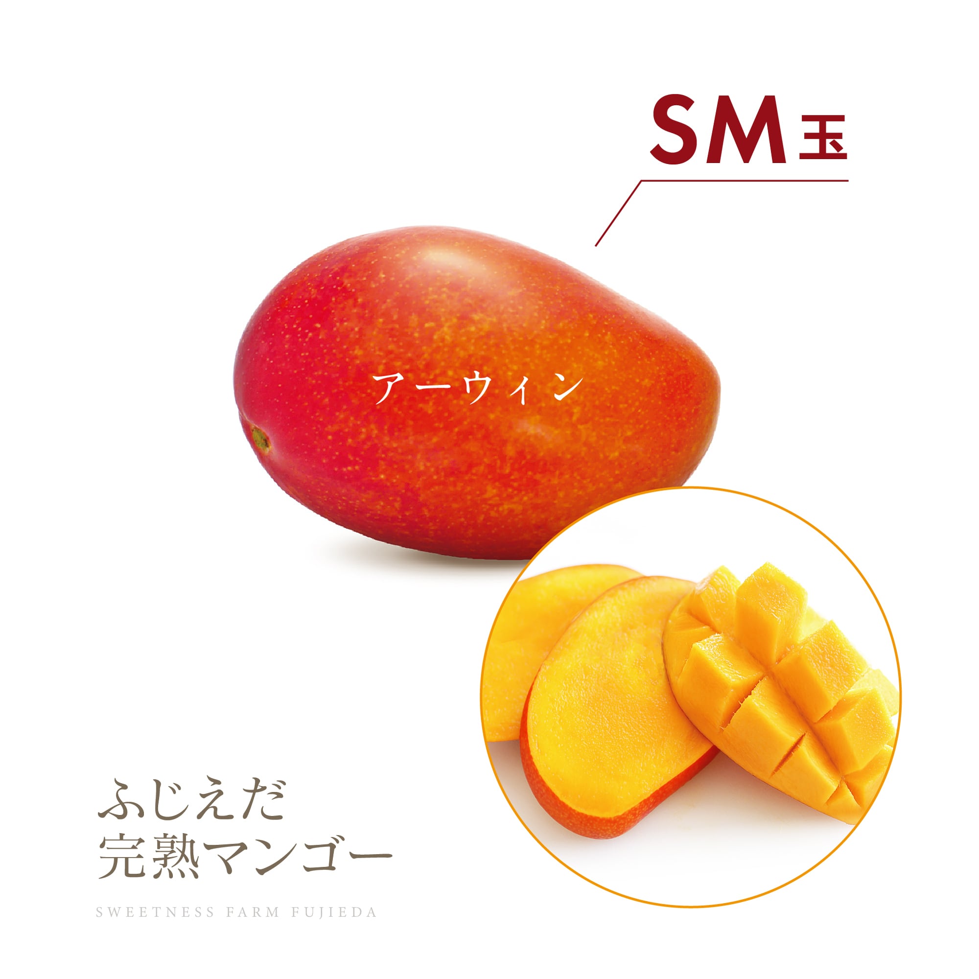 2026初物!【アーウィン】SM玉 ※先行予約用