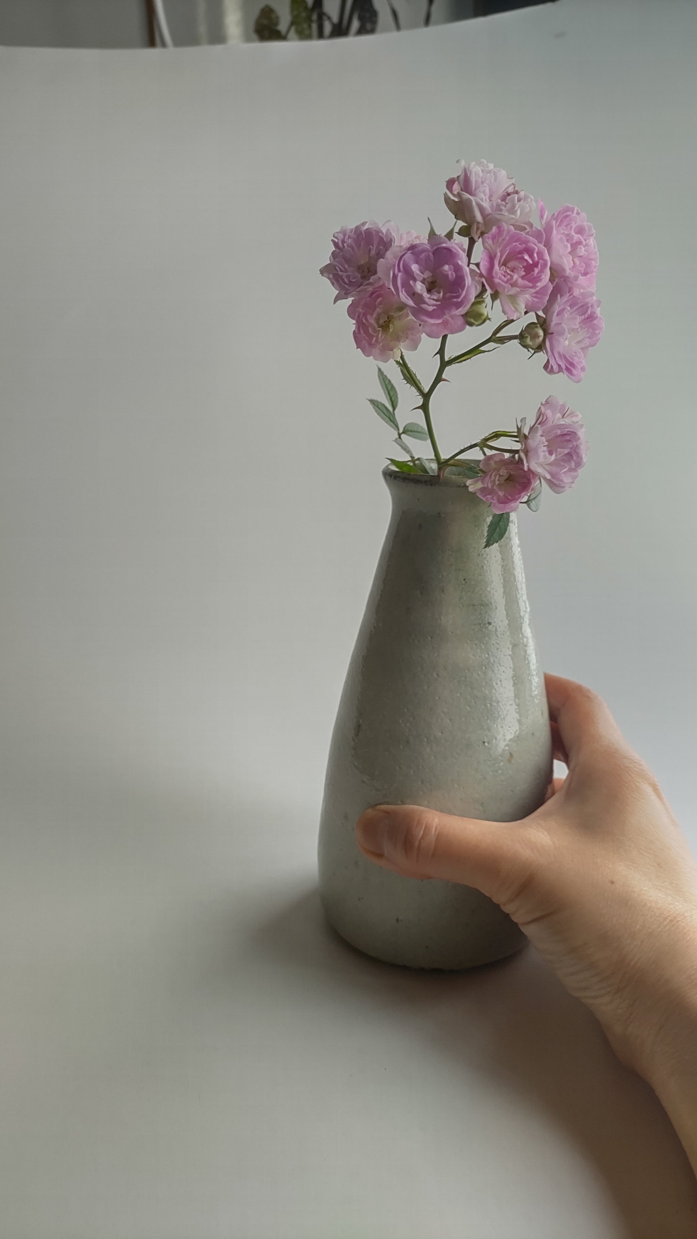 灰釉花入002 | utuwanoyukue