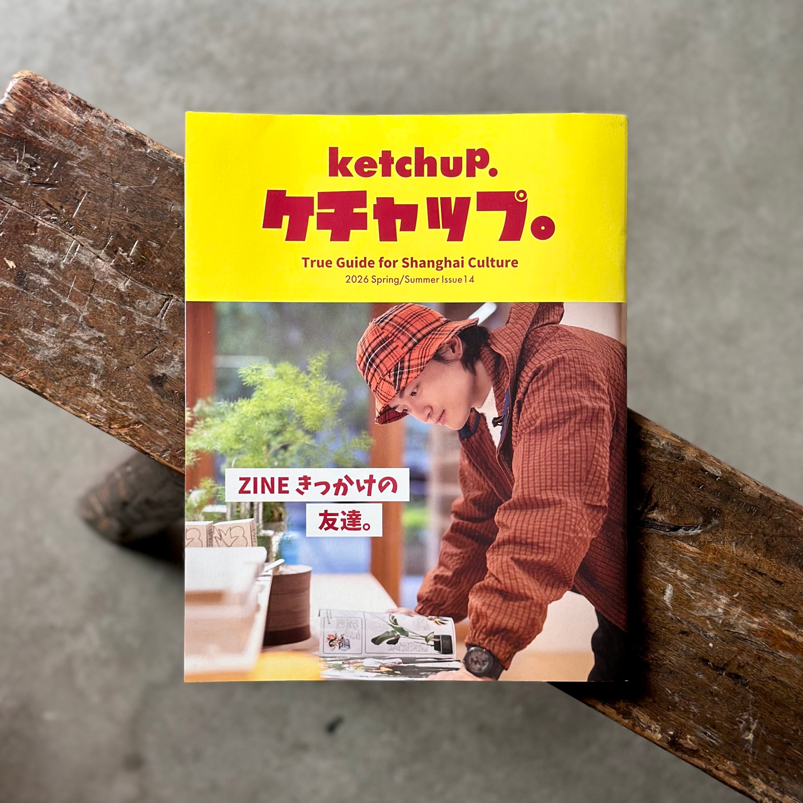 ケチャップ／ketchup. 14