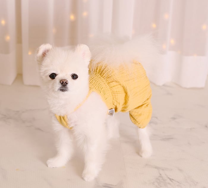 【SALE】 ボリュームオールインワン XS ~ XL 3color  /  犬服 春夏 新作 ロンパース 可愛い 犬の服 小型犬 中型犬 ドッグウェア お出かけ 犬 服 お揃い シンプル tsu35