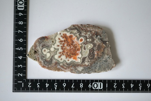 クレイジーレースアゲート Crazy Lace Agate 911