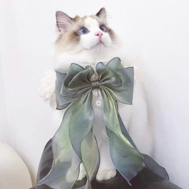 オーロラ Green エプロンリボン 猫 付け襟