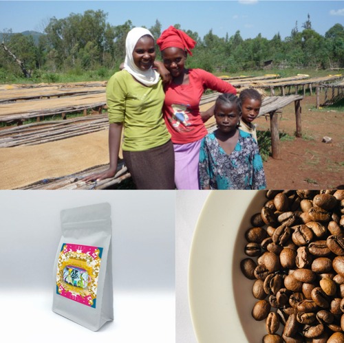 エチオピア｜イルガチェフェ｜G1｜コンガ農協｜ウォッシュド｜150g