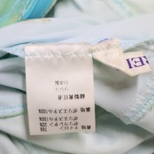 社交ダンス 衣装 スタンダードドレス ワンピース ドレス SORELI ソレリ 日本製 黄緑 緑 水色 ミント パーティ 発表会 デモ 競技 フリル 明るい グリーン系 ブルー系 社交ダンス ドレス おしゃれ 高級感 着やすい 女性用 フリルデザイン ステージ衣装 競技用ドレス 上品 パーティー衣装 フェミニン