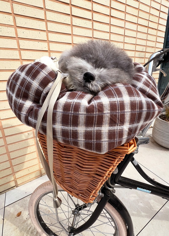 〈 即納アイテム 〉OHDIBS / Snuggle Room – Cream 1size