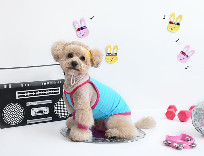 aerobic cool top set S ~ XL 2color  /  犬服 夏 新作 冷感 トップス タンクトップ 可愛い 犬の服 ドッグウェア 暑さ対策 ワンコ服 小型犬 中型犬 映える