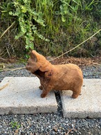 猫のヒゲ集め