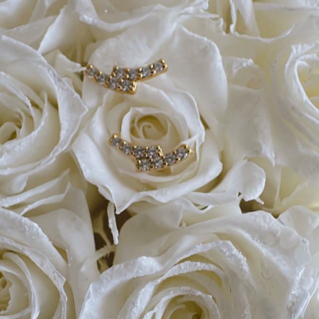【No.20】LOVESTONE Pierce