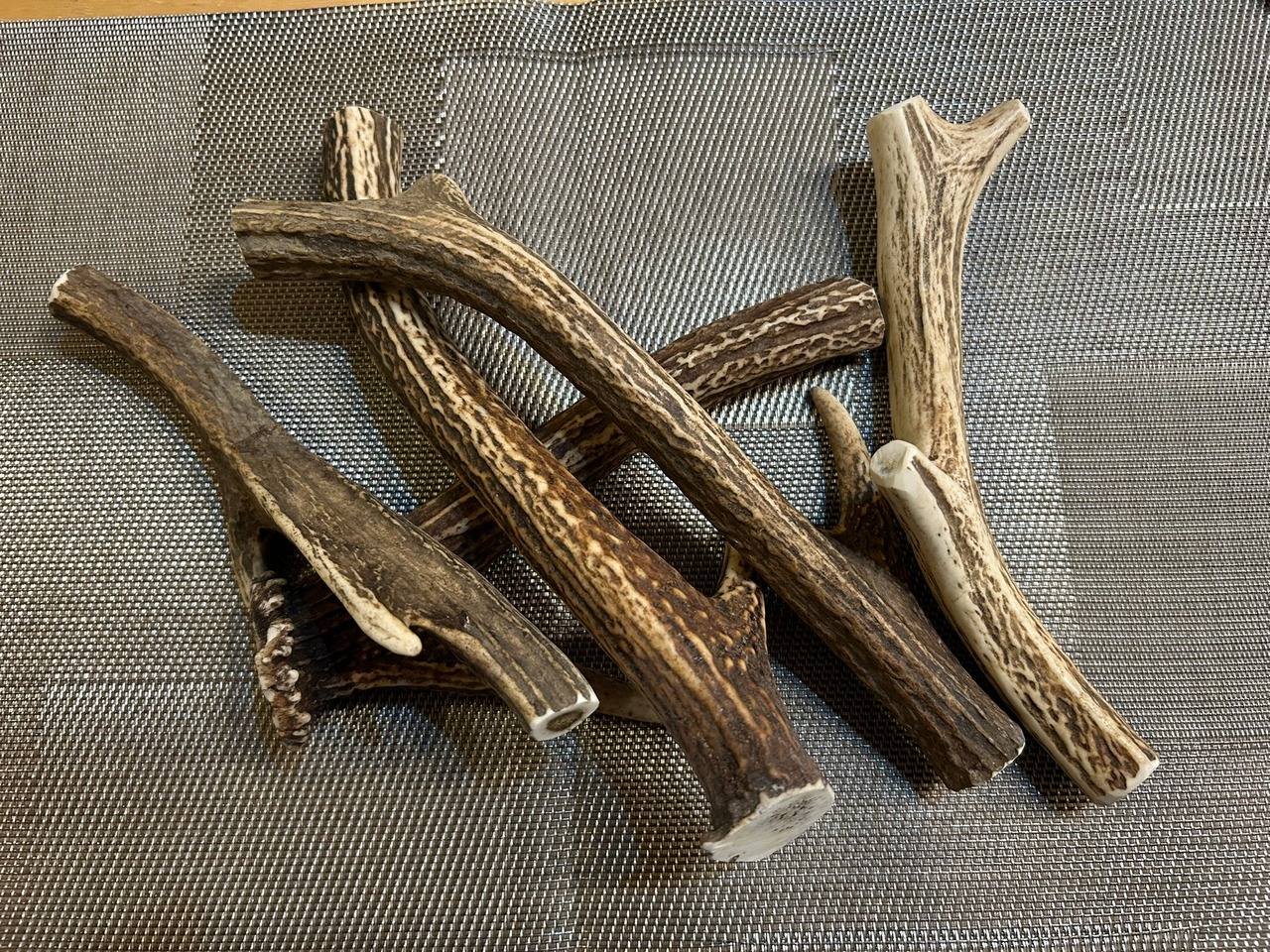 犬用ガム1本　中サイズ　15～20㎝　（エゾシカの角）