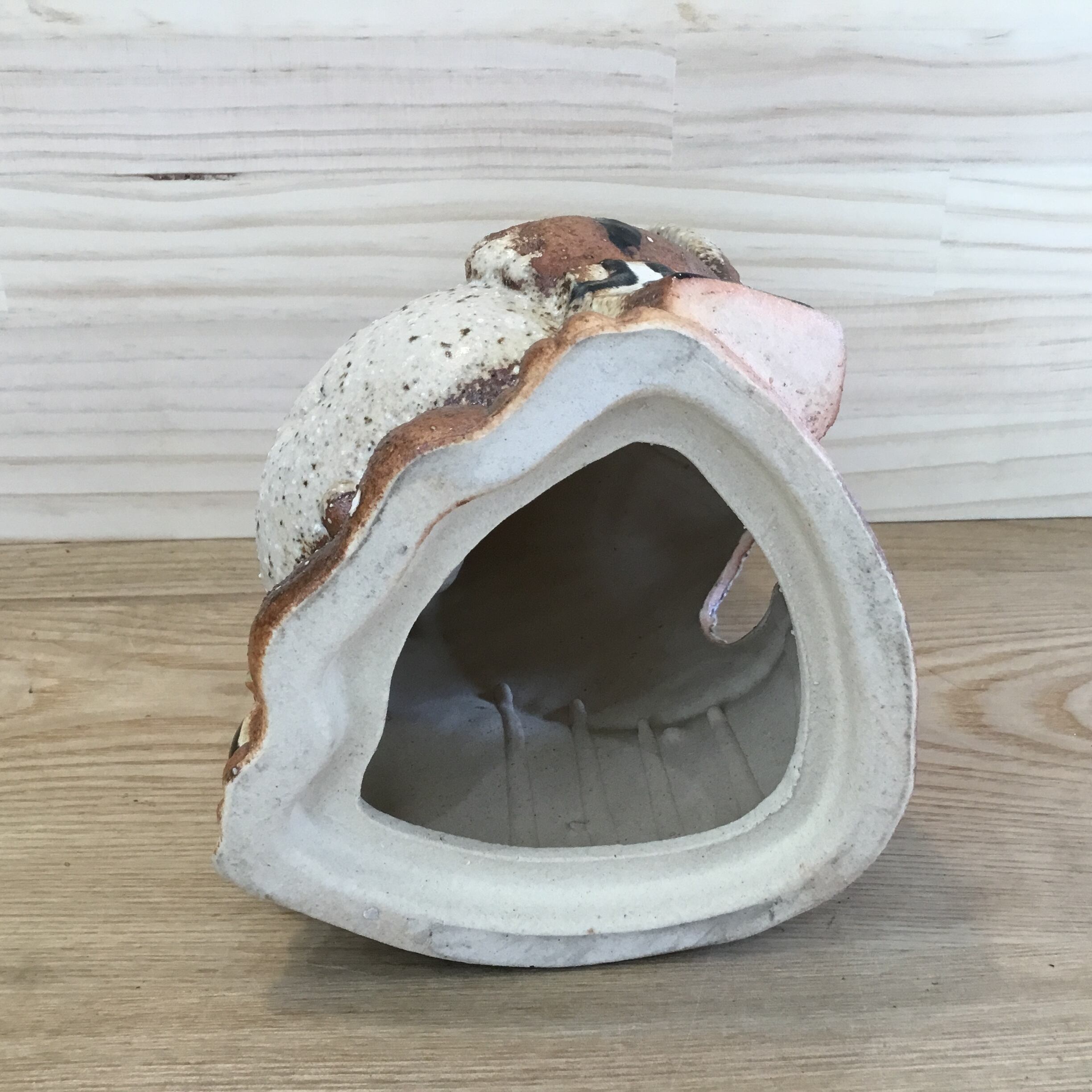 信楽焼たぬき 5号 古信楽福福狸オス | 趣味の園芸と陶器山竹