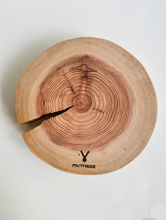 マイツリーボード  杉　直径25cm　厚さ5cm　NO.9