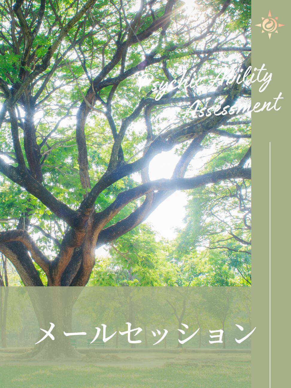 霊視・透視・予知セッション|メール(文章でお届け/ご相談1件)
