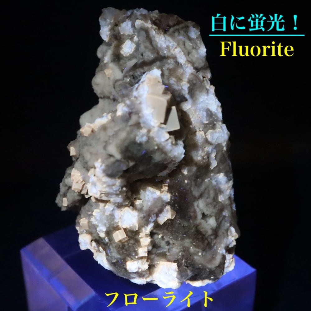 ユニーク!蛍石 フローライト 30.9g 原石 FL589 鉱物 天然石
