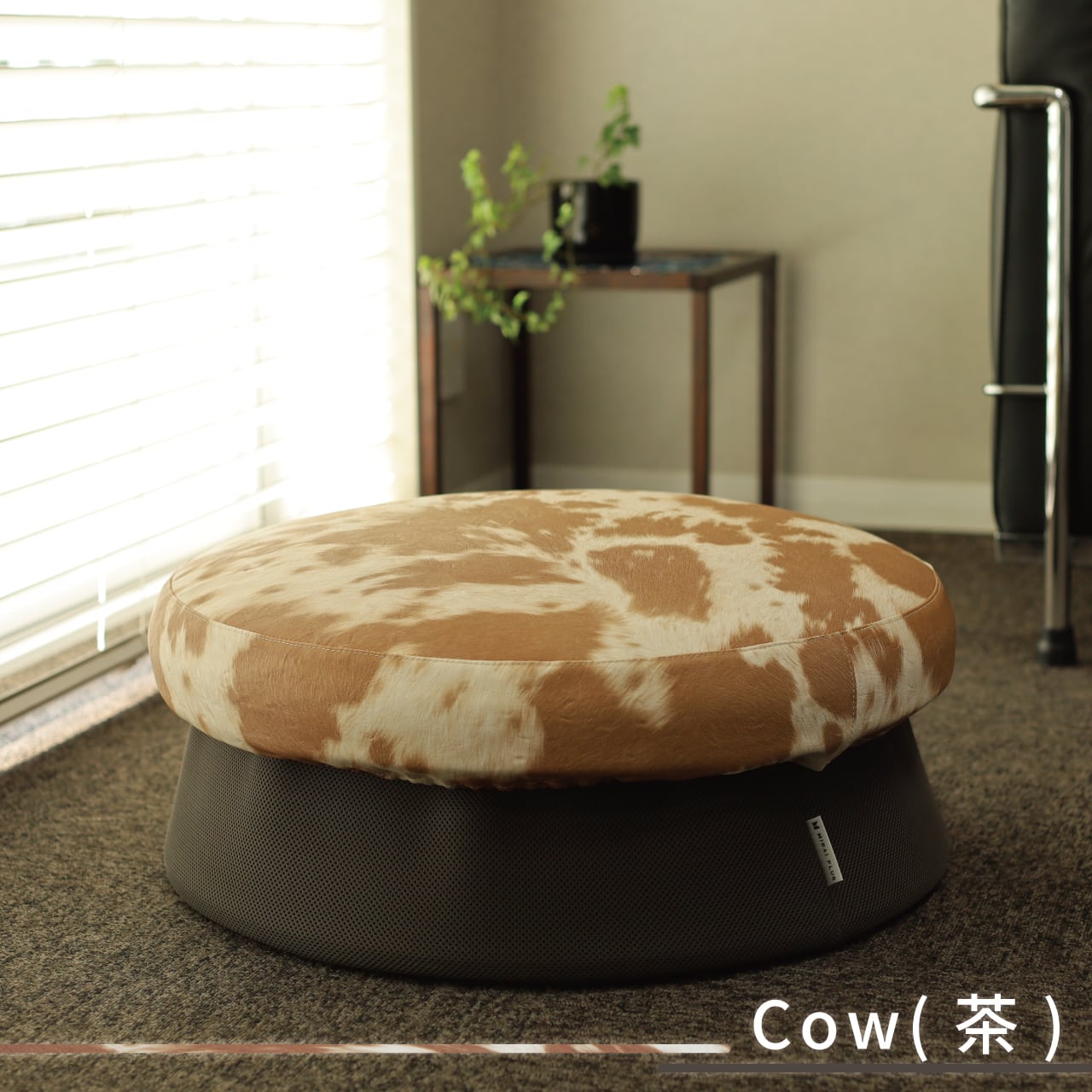 HOME TRAMPOLINE 【 Modern type 】 | MIRAI PLUS