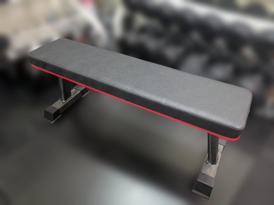 Life Fitnessオリンピックバーベルプレート 10KG 2枚組 【お持ち帰り