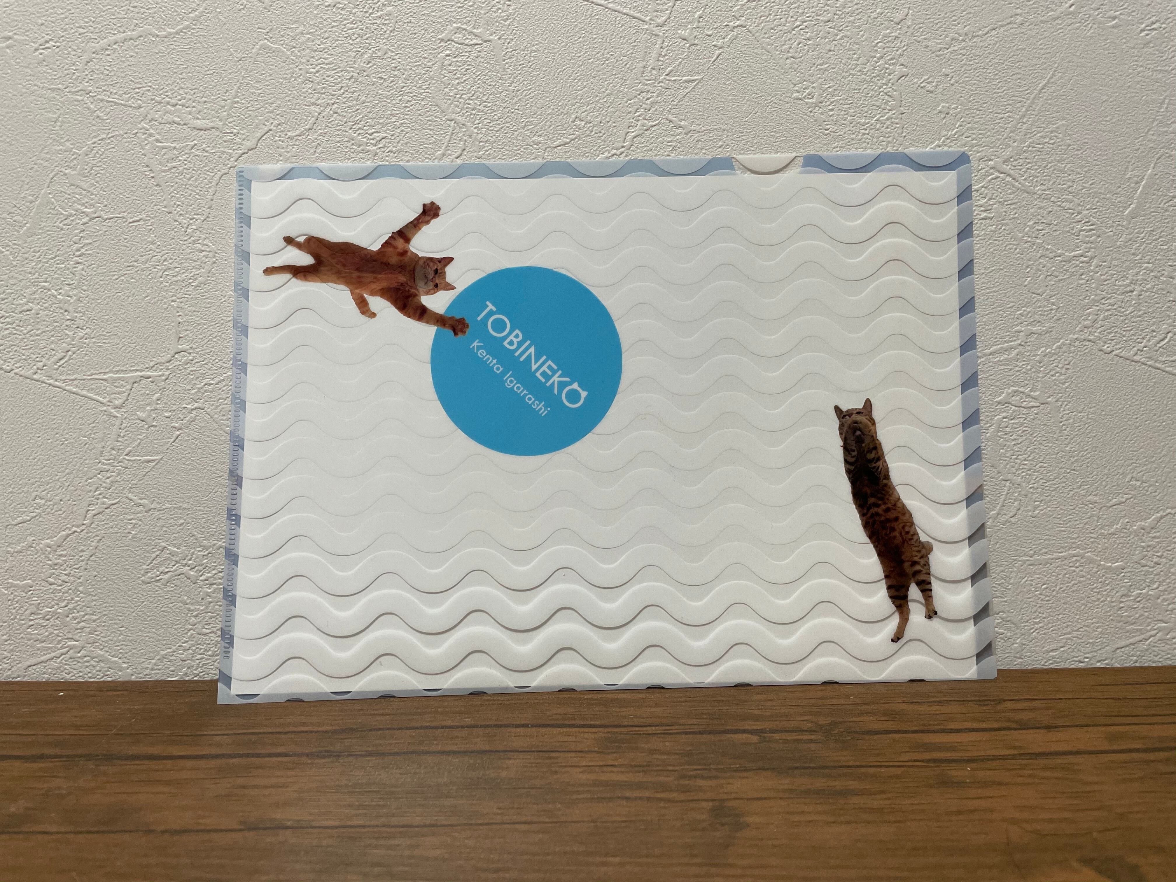 飛び猫 A 4サイズ クリアファイル | 猫雑貨屋 飛び猫商店