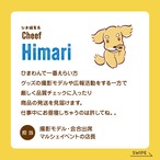 スタッフご紹介!