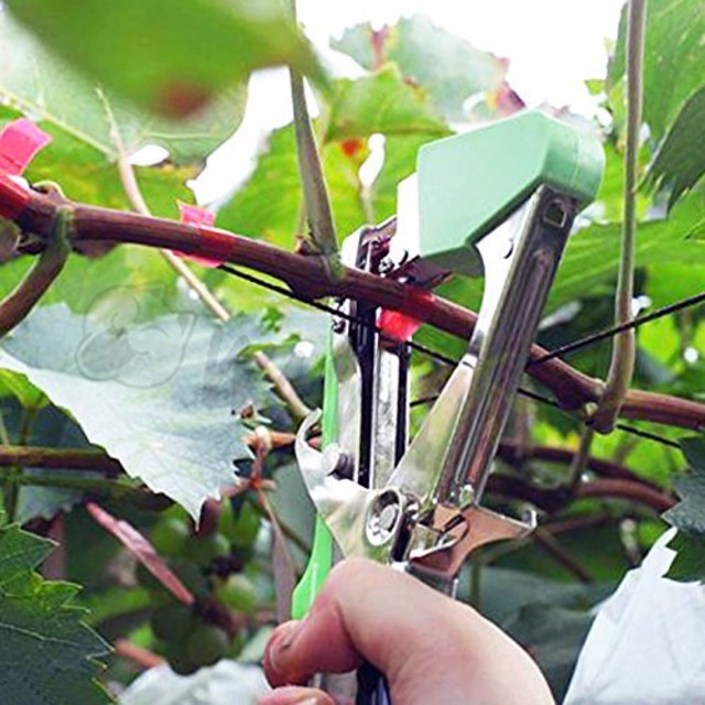 WAIWAIGOODS 汎用 テープ ツール TAPE TOOL ハンディー 誘引 結束機 園芸 家庭菜園 用 手作業 工具 テープ ＆ ステープル セット