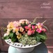 寄せ植え　ジュリアン