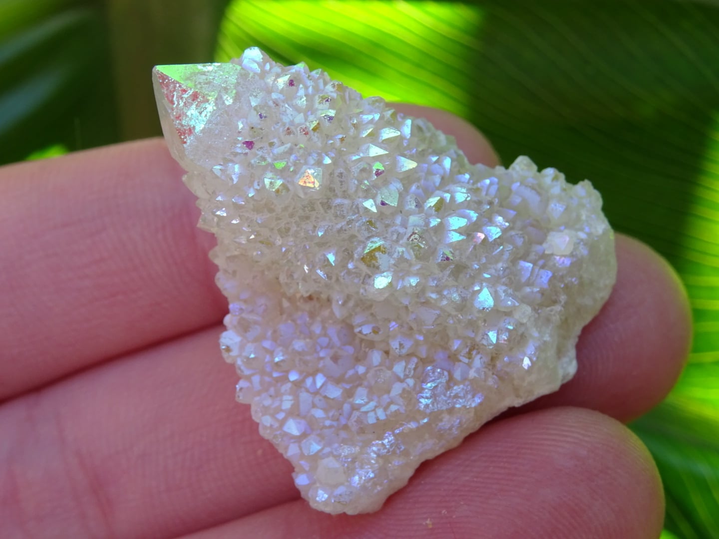 カクタスエンジェルオーラクォーツ | 虹石屋