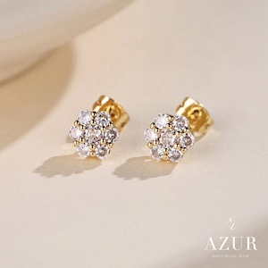 【数量限定】アンシャンテピアス
