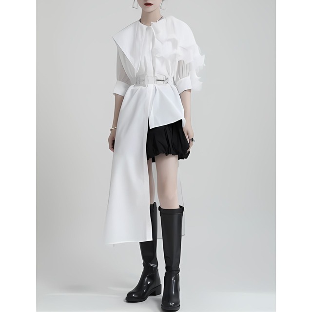 Asymmetric pleated sleeve dress C0197