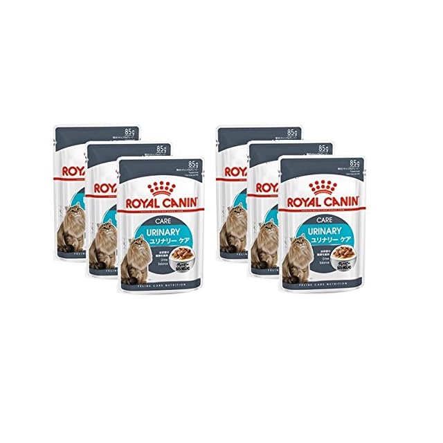 ロイヤルカナン 室内で生活する成猫用 ローフタイプ ウェット【値下げ】 ロイヤルカナン 室内で生活する成猫用 ローフタイプ ウェット ロイヤル