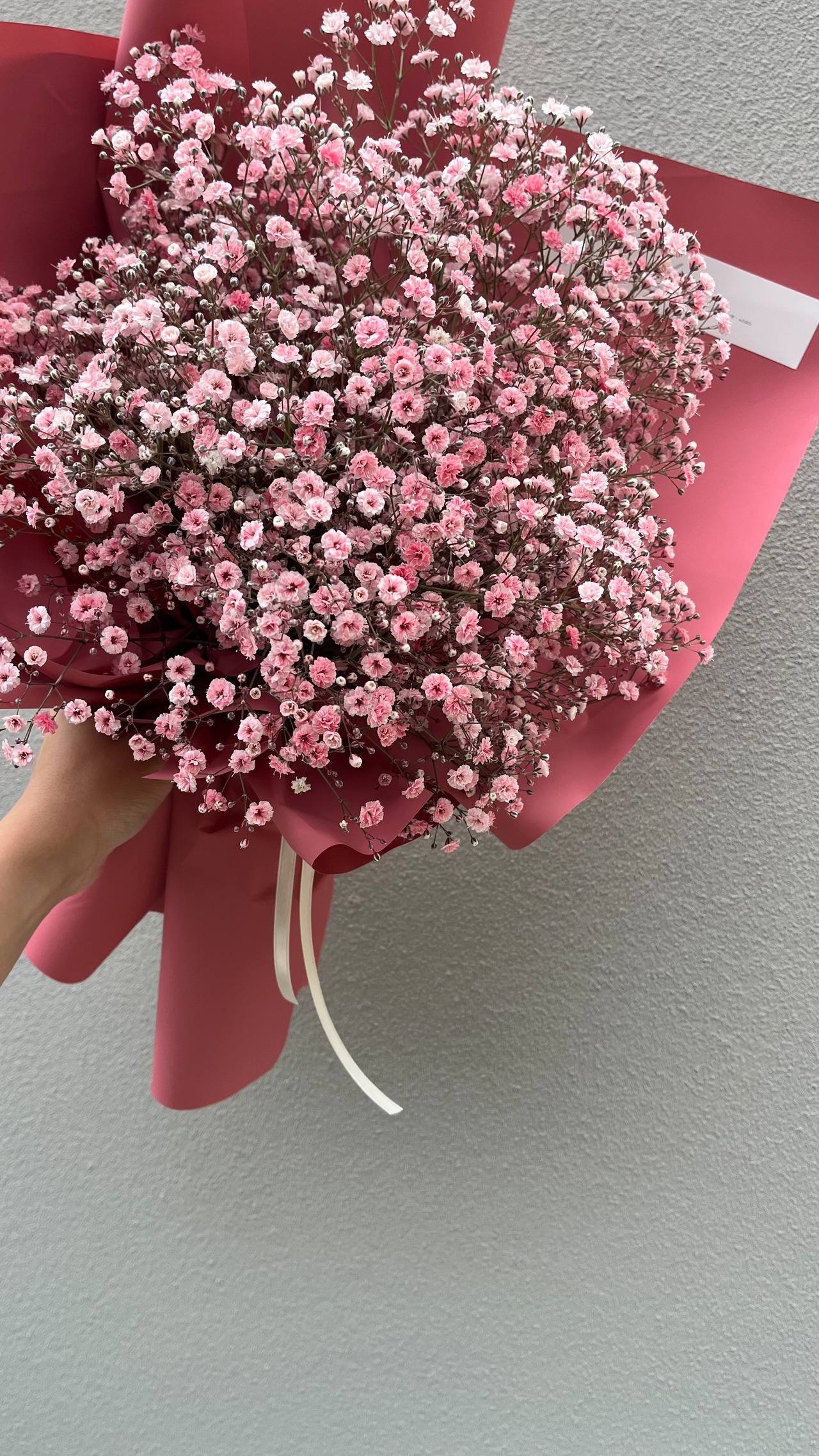 かすみ草花束(ピンクグラデ）