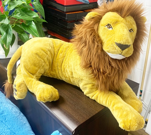 ライオン　70cm