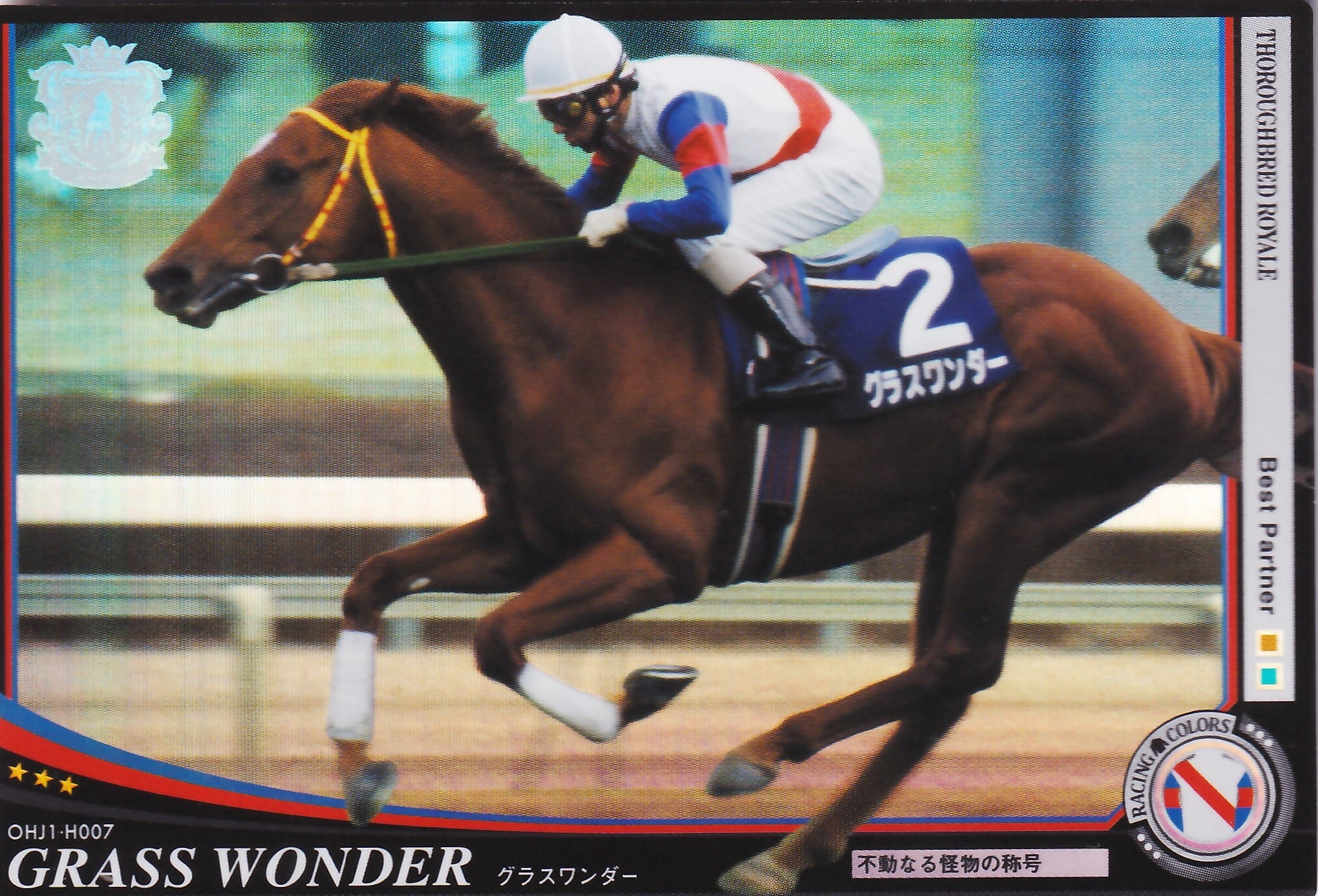 グラスワンダー 写真 額縁入り 大感謝セール - charteredmanagers.co.za